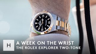 Rolex Explorer Two-Tone | A Week On The Wrist