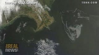 Bp Coverup Coverup