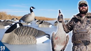 Hunting for Geese on SOLID ICE | Goose Hunting 2024