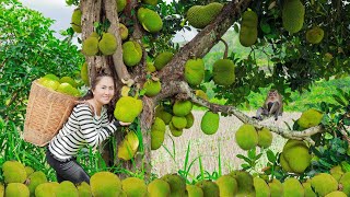 WOMAN Harvesting Jackfruit \u0026 Goes to the Market Sell | Emma Daily Life