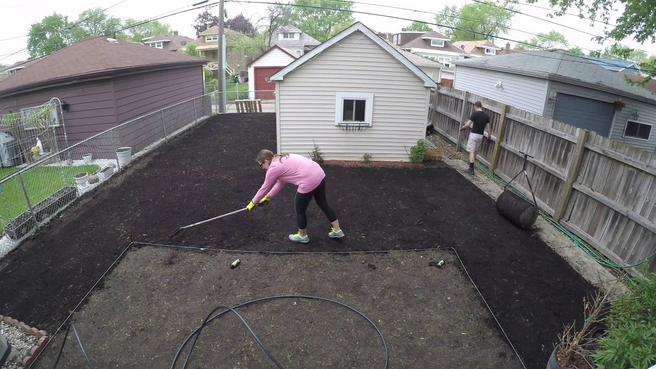 Seeding New Lawn Youtube