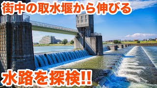 街中の取水堰から伸びる水路を探検！！　Explore the waterways that extend from the intake weir in the city!【SiphonTV106】