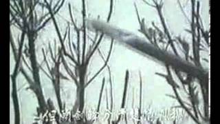 情人箭 主題曲 [張國榮、羅樂林、苗可秀] (韓語字幕)