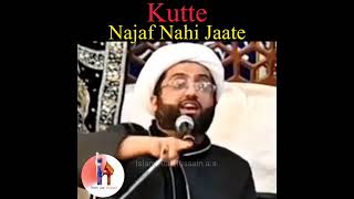Kutte Najaf nahi jaate | Shia whatsapp status | Kumail Mehdavi Status | Shia attitude status #shorts