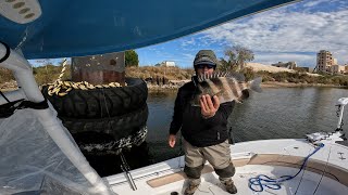 SHEEPSHEAD FRENZY IS HERE!