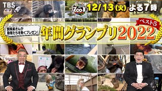 爆笑! 感動! 新たな魅力も!! ｢年間グランプリ2022｣発表!!『ZOO-1グランプリ』12/13(火)【TBS】