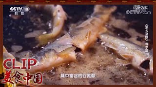 抓苦鱼仔体验儿时的快乐《家乡至味2020》春季篇 | 美食中国 Tasty China