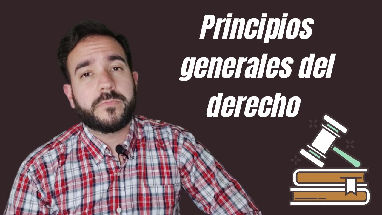 CUÁLES Son Los 3 Principios Generales Del Derecho | EXPLICACIÓN ...