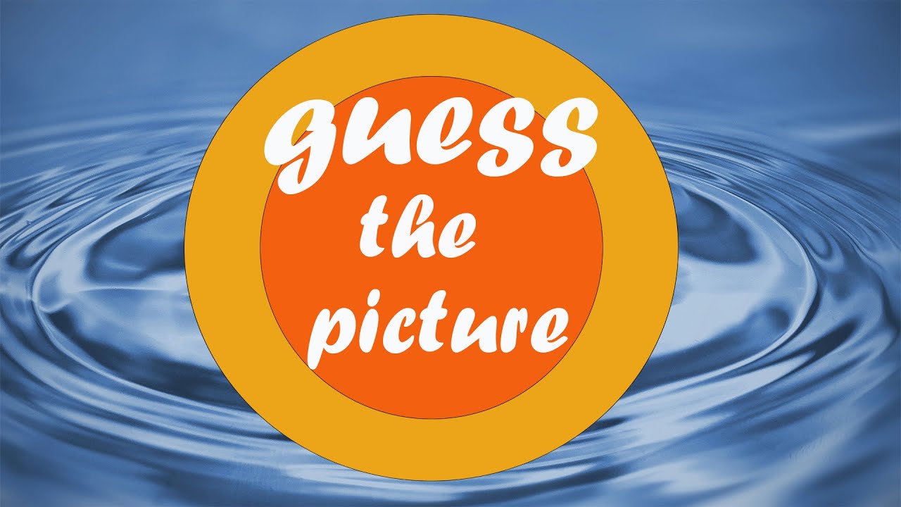 Guess Zoomed In Picture Picture Quizzes Guess The Picture Game