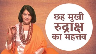 छह मुखी रुद्राक्ष का महत्तव | Importance of Chhah Mukhi Rudraksha - Gurumaa Anita