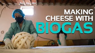 Producing cheese with biogas | Biodigesters Sistema.bio