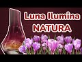 PERFUME LUNA ILUMINA ( NATURA ) RESENHA