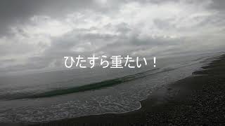 糸魚川サーフ2020年初釣り！ 大物 釣れました!!