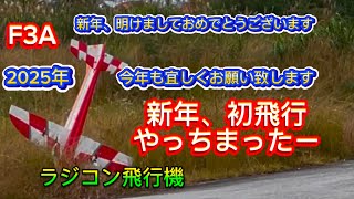 ラジコン飛行機 2025年 F3A やっちまったー おきなわ