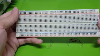 Building Parallel Circuit on a Breadboard (Short lecture & Demo)