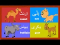 Learn Animal Names in Urdu and More | جانور کے نام | Urdu Kids Rhymes Collection