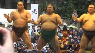 20160418 靖國神社奉納相撲　三役揃い踏み