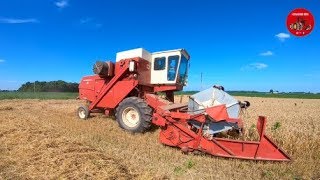 2018 Wheat Harvest with a Vintage IH 615 Combine