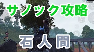 【PUBG MOBILE】サノック攻略の鍵は○○との絆！ 石人間になりSanhokソロスク21killドン勝【Solo Squad】【せかめん】