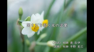 2025年1月12日主日礼拝「闇を引き裂く光の言葉」