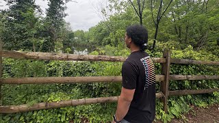 I Found A Mystery Path In The Woods..