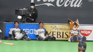 ＜2021.3.17ロッテ戦＞ベンチはみだし組に合流してみたポリーちゃんと清水選手には嫌われているらしいフレップ君