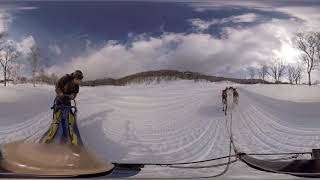 2016シーズン　「360°カメラで見る　犬ぞり体験」