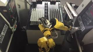 Two BML-560S paired with a Robotic Arm