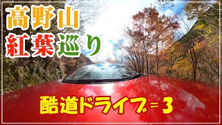 【十字紅葉】高野山紅葉巡り☆酷道ドライブ=3【奥の院】【蛇腹道】【尾根道】【険道733号】