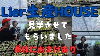 ニュージーランド多肉生活７月１４日　リエールハウス見学