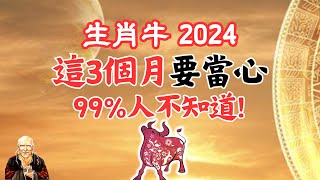 2024甲辰龍年，生肖牛，要出事的月份！要警惕！運勢好的月份是幾月？需要提前掌握！千萬要注意！2024年生肖牛運勢 | 2024年生肖牛運程 |生肖牛運勢|生肖牛運程|屬牛運勢|屬牛運程