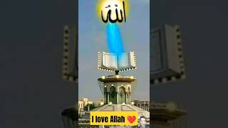 I love Allah 💕💕 #allah #islamicreminders #viral