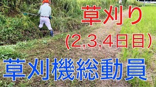 【２０２４ 米作り３４】畦の草刈り（二,三,四日目）草刈機総動員だぞ