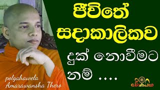 ජීවිතය අවබෝධ  කරන උතුම් ධර්මය |The great Dhamma of understanding life |polgahawela Amarawansha Thero