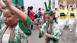 高円寺阿波おどり・ふれおどり２０１９⑮天狗連