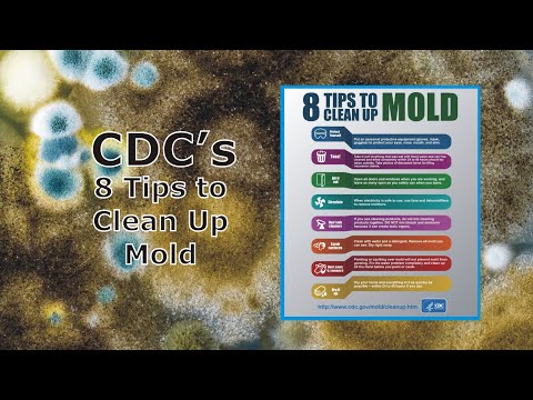 8 CDC Tips for Cleaning up Mold