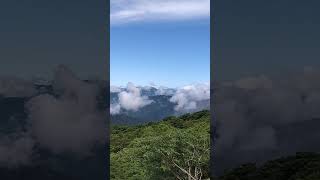 【伊吹山】雲が下に見えた #伊吹山 #伊吹山ドライブウェイ