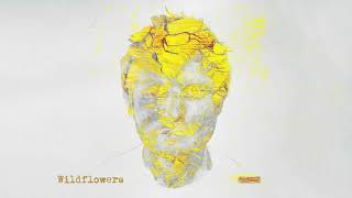 Ed Sheeran - Wildflowers [Official Visualiser]