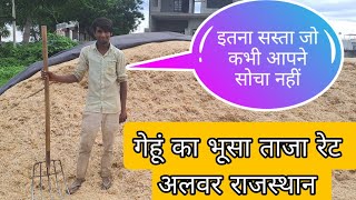 भारी बारिश के बीच गेहूं के भूसे का रेट अलवर राजस्थान/gehun ka bhusa rate today