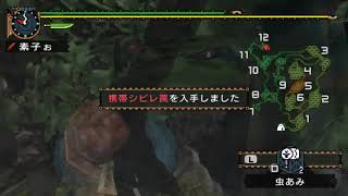 [MHP2G][のんびり訓練][特別訓練]リオレウス討伐訓練-ランス