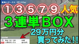 【競馬検証】29万投資！3連単5頭BOX！①③⑤⑦⑨人気で買ってみた！