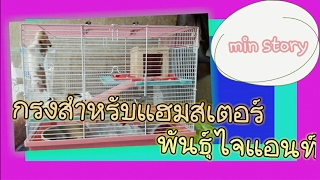 ถาม:ตอบ กรงที่เหมาะกับแฮมสเตอร์สายพันธุ์ไจแอนท์ Hamster / min story