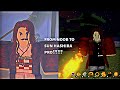 NOOB TO SUN HASHIRA PRO!?1!1?1? || Roblox Demonfall [read DESC]