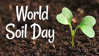 বিশ্ব মৃত্তিকা দিবস 2023 World Soil Day 2023 || বাংলার কৃষি