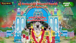 ஸ்ரீ சேவுகமூர்த்தி ஐயனார் ஐந்தாம் நாள் திருவிழா திருக்கல்யாணம் 2022