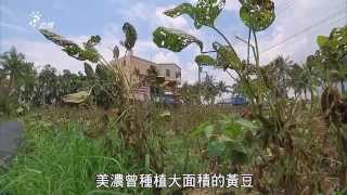 【本土雜糧】非基改戰「豆」｜國產黃豆復耕 (我們的島 第760集 2014-06-09)