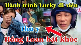 Tin Hót.Hành Trình Lucky đi bệnh viện Hồng Loan bật khóc Tin buồn