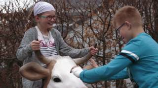 Biolandmilch: Eure Fragen. Unsere Antworten (Folge 3) • Upländer Bauernmolkerei •