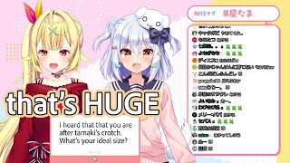 Hoshikawa Sara reveals her ideal size to Inuyama Tamaki