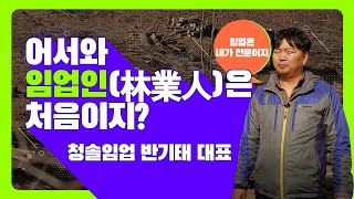 [#어서와, 임업인은 처음이지?] 청솔임업 반기태 대표🌲